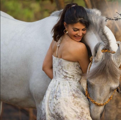 Jacqueline Fernandez 